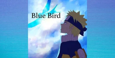 Blue Bird (Opening Naruto Shippuden) kalimba